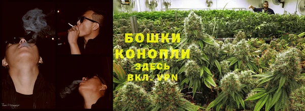 дурь Волосово