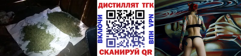 Купить  Медногорск  ТГК концентрат 